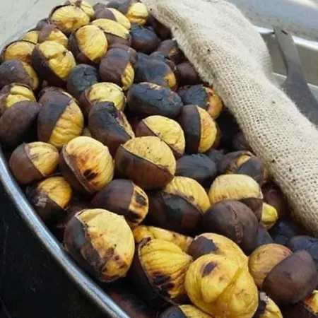 Nina's House 5 A 300 Mt Dal Mare *