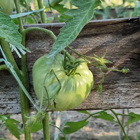 Nina's House 5 A 300 Mt Dal Mare شقة Santa Caterina Dello Ionio Marina