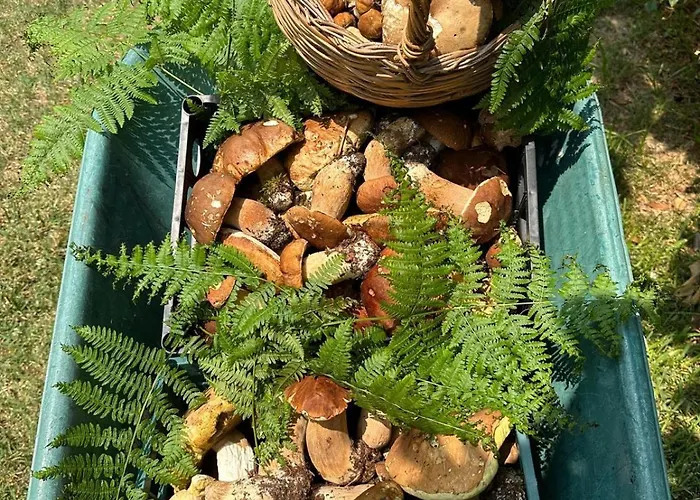 דירה Nina's House 5 A 300 Mt Dal Mare Santa Caterina Dello Ionio Marina