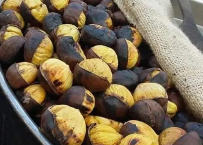 Nina's House 5 A 300 Mt Dal Mare *