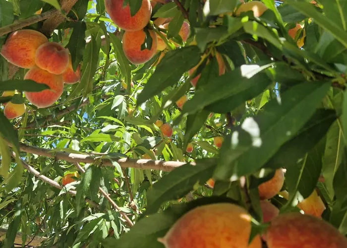 דירה Nina's House 5 A 300 Mt Dal Mare *